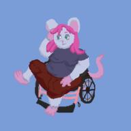 artfight fursona mouse not_mariken wheelchair // 600x600 // 12KB